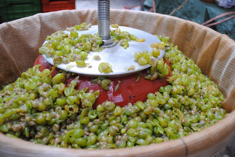 White wine basic making process | The Greek Wine Experience